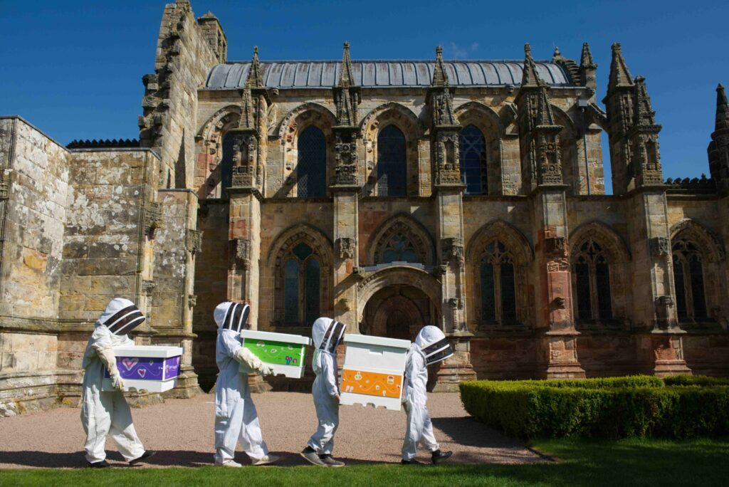 Bees’ return causes a buzz at Rosslyn Chapel Rosslyn Chapel has taken delivery of four hives and re-established a connection between the historic building and bees, which stretches back nearly 600 years.  Rosslyn Chapel has taken delivery of four hives and re-established a connection between the historic building and bees, which stretches back nearly 600 years.  MORE INFO:  Ian Gardner Director, Rosslyn Chapel Trust 0131 440 2159 PHOTO: ROB MCDOUGALL